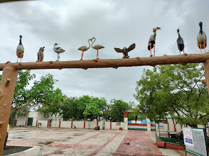 Khijadia Bird Sanctuary